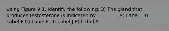 Using Figure 9.1, identify the following: 3) The gland that produces testosterone is indicated by ________. A) Label I B) Label F C) Label E D) Label J E) Label A