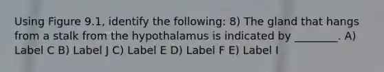 Using Figure 9.1, identify the following: 8) The gland that hangs from a stalk from the hypothalamus is indicated by ________. A) Label C B) Label J C) Label E D) Label F E) Label I