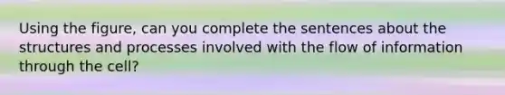 Using the figure, can you complete the sentences about the structures and processes involved with the flow of information through the cell?