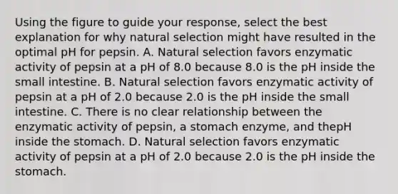 Using the figure to guide your response, select the best explanation for why natural selection might have resulted in the optimal pH for pepsin. A. Natural selection favors enzymatic activity of pepsin at a pH of 8.0 because 8.0 is the pH inside the small intestine. B. Natural selection favors enzymatic activity of pepsin at a pH of 2.0 because 2.0 is the pH inside the small intestine. C. There is no clear relationship between the enzymatic activity of pepsin, a stomach enzyme, and thepH inside the stomach. D. Natural selection favors enzymatic activity of pepsin at a pH of 2.0 because 2.0 is the pH inside the stomach.