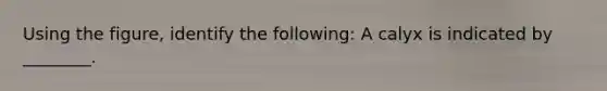 Using the figure, identify the following: A calyx is indicated by ________.