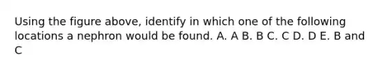 Using the figure above, identify in which one of the following locations a nephron would be found. A. A B. B C. C D. D E. B and C