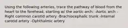 Using the following arteries, trace the pathway of blood from the heart to the forehead, starting w/ the aortic arch: -Aortic arch -Right common carotid artery -Brachiocephalic trunk -Internal carotid artery -Ophthalmic artery