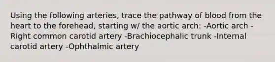 Using the following arteries, trace the pathway of blood from the heart to the forehead, starting w/ the aortic arch: -Aortic arch -Right common carotid artery -Brachiocephalic trunk -Internal carotid artery -Ophthalmic artery