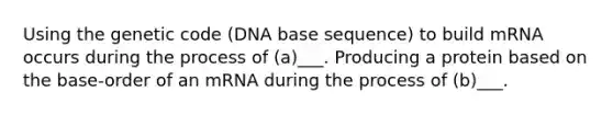 Using the genetic code (DNA base sequence) to build mRNA occurs during the process of (a)___. Producing a protein based on the base-order of an mRNA during the process of (b)___.