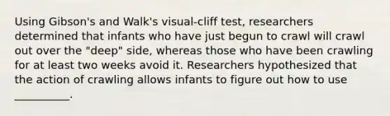 Using Gibson's and Walk's visual-cliff test, researchers determined that infants who have just begun to crawl will crawl out over the "deep" side, whereas those who have been crawling for at least two weeks avoid it. Researchers hypothesized that the action of crawling allows infants to figure out how to use __________.