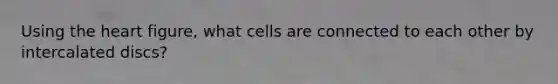 Using the heart figure, what cells are connected to each other by intercalated discs?