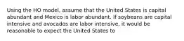 Using the HO model, assume that the United States is capital abundant and Mexico is labor abundant. If soybeans are capital intensive and avocados are labor intensive, it would be reasonable to expect the United States to