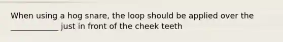 When using a hog snare, the loop should be applied over the ____________ just in front of the cheek teeth