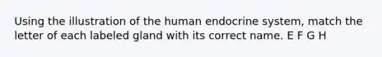 Using the illustration of the <a href='https://www.questionai.com/knowledge/kE29DbShVN-human-endocrine-system' class='anchor-knowledge'>human endocrine system</a>, match the letter of each labeled gland with its correct name. E F G H