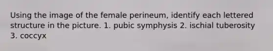 Using the image of the female perineum, identify each lettered structure in the picture. 1. pubic symphysis 2. ischial tuberosity 3. coccyx