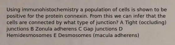 Using immunohistochemistry a population of cells is shown to be positive for the protein connexin. From this we can infer that the cells are connected by what type of junction? A Tight (occluding) junctions B Zonula adherens C Gap junctions D Hemidesmosomes E Desmosomes (macula adherens)