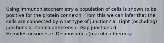 Using immunohistochemistry a population of cells is shown to be positive for the protein connexin. From this we can infer that the cells are connected by what type of junction? a. Tight (occluding) junctions b. Zonula adherens c. Gap junctions d. Hemidesmosomes e. Desmosomes (macula adherens)