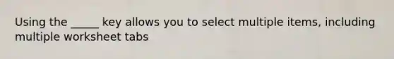 Using the _____ key allows you to select multiple items, including multiple worksheet tabs