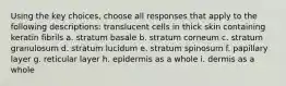 Using the key choices, choose all responses that apply to the following descriptions: translucent cells in thick skin containing keratin fibrils a. stratum basale b. stratum corneum c. stratum granulosum d. stratum lucidum e. stratum spinosum f. papillary layer g. reticular layer h. epidermis as a whole i. dermis as a whole