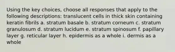 Using the key choices, choose all responses that apply to the following descriptions: translucent cells in thick skin containing keratin fibrils a. stratum basale b. stratum corneum c. stratum granulosum d. stratum lucidum e. stratum spinosum f. papillary layer g. reticular layer h. epidermis as a whole i. dermis as a whole