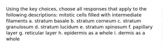 Using the key choices, choose all responses that apply to the following descriptions: mitotic cells filled with intermediate filaments a. stratum basale b. stratum corneum c. stratum granulosum d. stratum lucidum e. stratum spinosum f. papillary layer g. reticular layer h. epidermis as a whole i. dermis as a whole