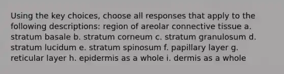 Using the key choices, choose all responses that apply to the following descriptions: region of areolar connective tissue a. stratum basale b. stratum corneum c. stratum granulosum d. stratum lucidum e. stratum spinosum f. papillary layer g. reticular layer h. epidermis as a whole i. dermis as a whole