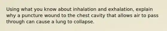 Using what you know about inhalation and exhalation, explain why a puncture wound to the chest cavity that allows air to pass through can cause a lung to collapse.