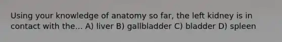 Using your knowledge of anatomy so far, the left kidney is in contact with the... A) liver B) gallbladder C) bladder D) spleen