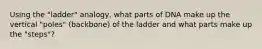 Using the "ladder" analogy, what parts of DNA make up the vertical "poles" (backbone) of the ladder and what parts make up the "steps"?