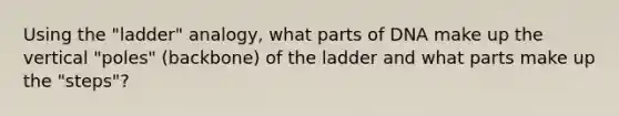 Using the "ladder" analogy, what parts of DNA make up the vertical "poles" (backbone) of the ladder and what parts make up the "steps"?