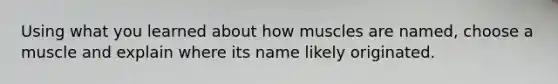 Using what you learned about how muscles are named, choose a muscle and explain where its name likely originated.