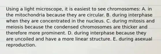 Using a light microscope, it is easiest to see chromosomes: A. in the mitochondria because they are circular. B. during interphase when they are concentrated in the nucleus. C. during mitosis and meiosis because the condensed chromosomes are thicker and therefore more prominent. D. during interphase because they are uncoiled and have a more linear structure. E. during asexual reproduction.