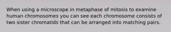 When using a microscope in metaphase of mitosis to examine human chromosomes you can see each chromosome consists of two sister chromatids that can be arranged into matching pairs.