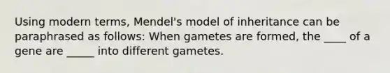 Using modern terms, Mendel's model of inheritance can be paraphrased as follows: When gametes are formed, the ____ of a gene are _____ into different gametes.