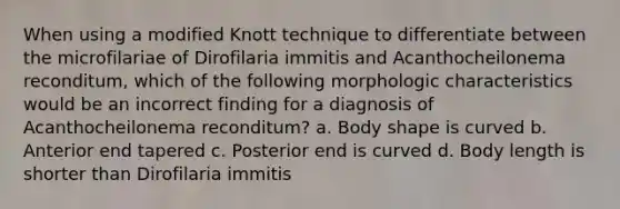 When using a modified Knott technique to differentiate between the microfilariae of Dirofilaria immitis and Acanthocheilonema reconditum, which of the following morphologic characteristics would be an incorrect finding for a diagnosis of Acanthocheilonema reconditum? a. Body shape is curved b. Anterior end tapered c. Posterior end is curved d. Body length is shorter than Dirofilaria immitis