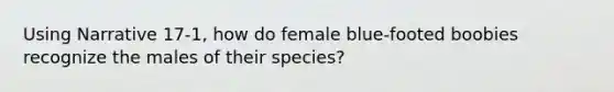 Using Narrative 17-1, how do female blue-footed boobies recognize the males of their species?