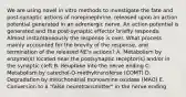 We are using novel in vitro methods to investigate the fate and post-synaptic actions of norepinephrine, released upon an action potential generated in an adrenergic nerve. An action potential is generated and the post-synaptic effector briefly responds. Almost instantaneously the response is over. What process mainly accounted for the brevity of the response, and termination of the released NE's actions? A. Metabolism by enzyme(s) located near the postsynaptic receptor(s) and/or in the synaptic cleft B. Reuptake into the nerve ending C. Metabolism by catechol-O-methyltransferse (COMT) D. Degradation by mitochondrial monoamine oxidase (MAO) E. Conversion to a "false neurotransmitter" in the nerve ending