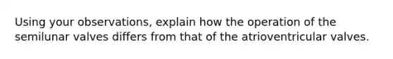 Using your observations, explain how the operation of the semilunar valves differs from that of the atrioventricular valves.