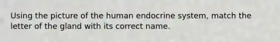 Using the picture of the human endocrine system, match the letter of the gland with its correct name.