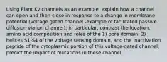 Using Plant Kv channels as an example, explain how a channel can open and then close in response to a change in membrane potential (voltage gated channel -example of facilitated passive diffusion via ion channel); in particular, contrast the location, amino acid composition and roles of the 1) pore domain, 2) helices S1-S4 of the voltage sensing domain, and the inactivation peptide of the cytoplasmic portion of this voltage-gated channel; predict the impact of mutations in these channel