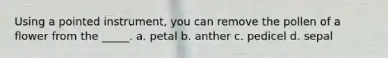 Using a pointed instrument, you can remove the pollen of a flower from the _____. a. petal b. anther c. pedicel d. sepal