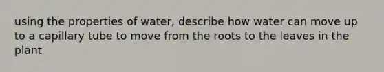 using the properties of water, describe how water can move up to a capillary tube to move from the roots to the leaves in the plant