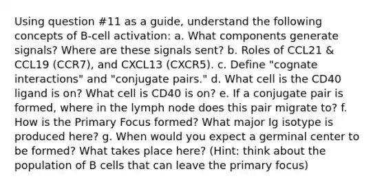 Using question #11 as a guide, understand the following concepts of B-cell activation: a. What components generate signals? Where are these signals sent? b. Roles of CCL21 & CCL19 (CCR7), and CXCL13 (CXCR5). c. Define "cognate interactions" and "conjugate pairs." d. What cell is the CD40 ligand is on? What cell is CD40 is on? e. If a conjugate pair is formed, where in the lymph node does this pair migrate to? f. How is the Primary Focus formed? What major Ig isotype is produced here? g. When would you expect a germinal center to be formed? What takes place here? (Hint: think about the population of B cells that can leave the primary focus)