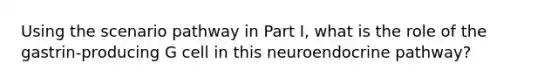 Using the scenario pathway in Part I, what is the role of the gastrin-producing G cell in this neuroendocrine pathway?