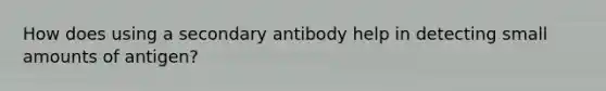 How does using a secondary antibody help in detecting small amounts of antigen?