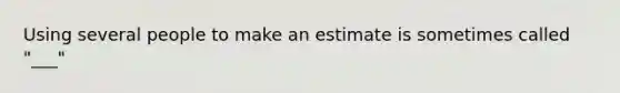 Using several people to make an estimate is sometimes called "___"