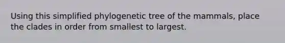 Using this simplified phylogenetic tree of the mammals, place the clades in order from smallest to largest.