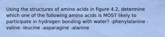 Using the structures of amino acids in figure 4.2, determine which one of the following amino acids is MOST likely to participate in hydrogen bonding with water? -phenylalanine -valine -leucine -asparagine -alanine