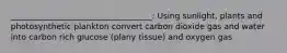 ___________________________________: Using sunlight, plants and photosynthetic plankton convert carbon dioxide gas and water into carbon rich glucose (plany tissue) and oxygen gas