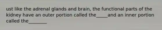 ust like the adrenal glands and brain, the functional parts of the kidney have an outer portion called the_____and an inner portion called the________