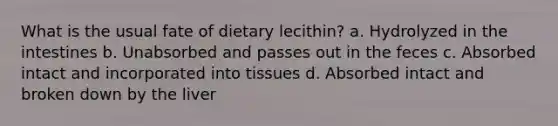 What is the usual fate of dietary lecithin? a. Hydrolyzed in the intestines b. Unabsorbed and passes out in the feces c. Absorbed intact and incorporated into tissues d. Absorbed intact and broken down by the liver