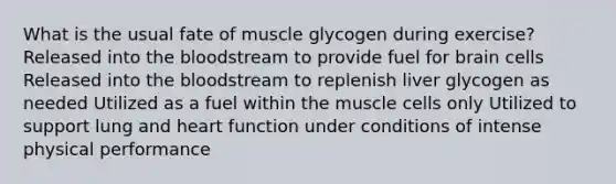 What is the usual fate of muscle glycogen during exercise? Released into the bloodstream to provide fuel for brain cells Released into the bloodstream to replenish liver glycogen as needed Utilized as a fuel within the muscle cells only Utilized to support lung and heart function under conditions of intense physical performance