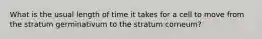 What is the usual length of time it takes for a cell to move from the stratum germinativum to the stratum corneum?