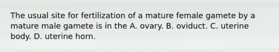 The usual site for fertilization of a mature female gamete by a mature male gamete is in the A. ovary. B. oviduct. C. uterine body. D. uterine horn.